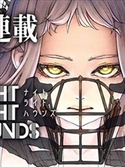游戏化异世界动漫 面板设定